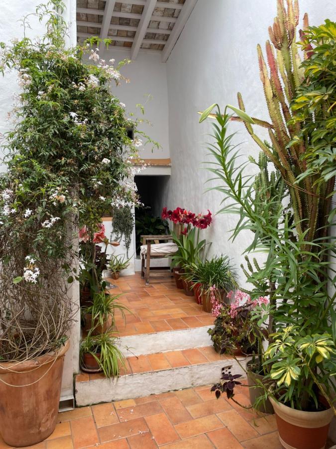 Casa Dulce Villa Vejer de la Frontera Ngoại thất bức ảnh